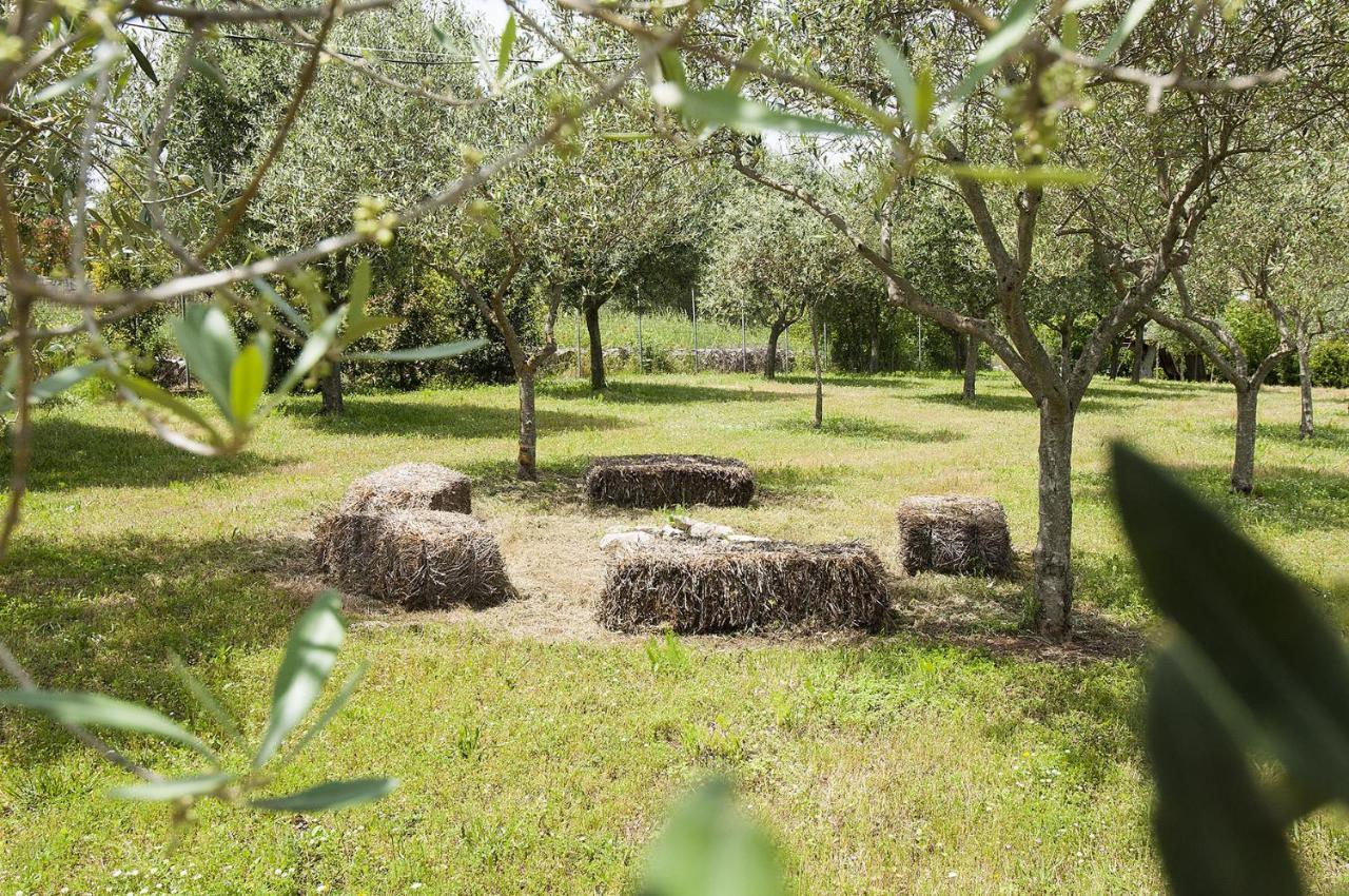 B&B Trulli Valle D'Itria Мартина Франка Екстериор снимка