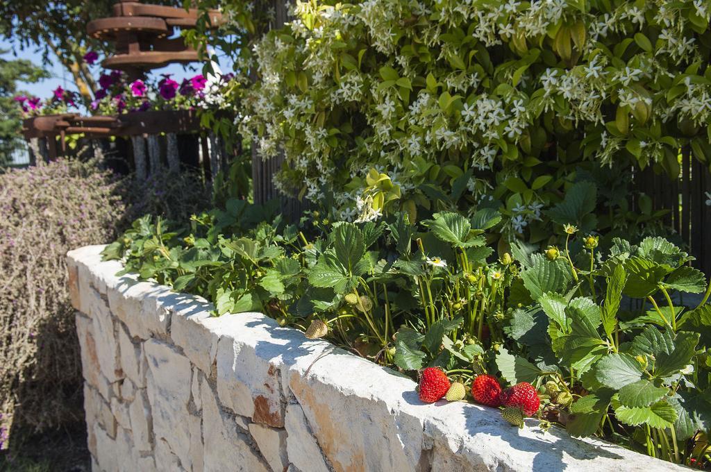 B&B Trulli Valle D'Itria Мартина Франка Екстериор снимка